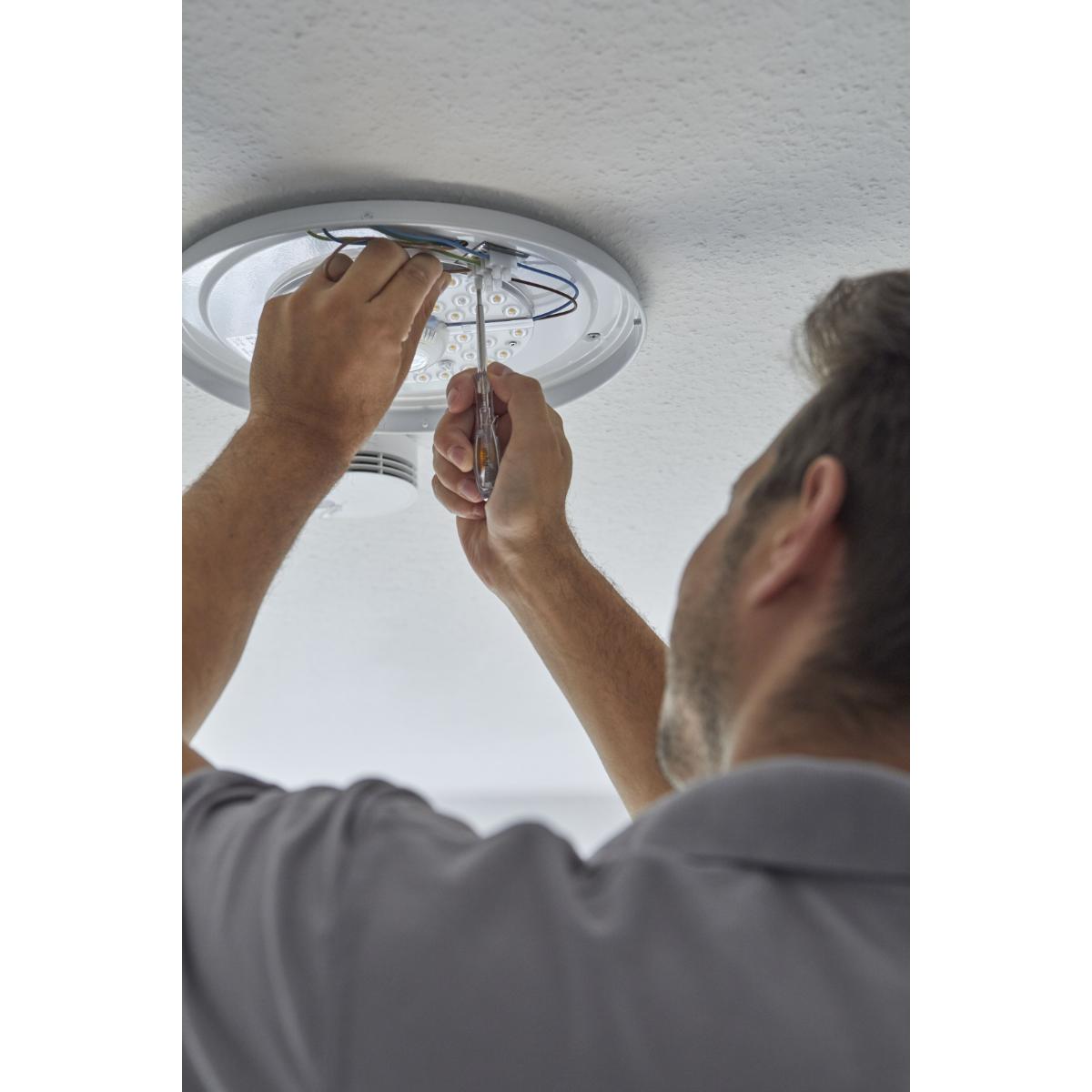 Wiha Spannungsprüfer SoftFinish einpolig, 110 - 250 Volt Schlitz transparent, mit Ansteckclip auf SB-Karte