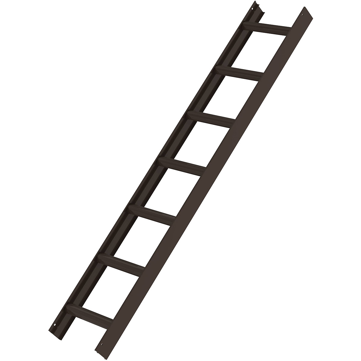 Munk Dachleiter Braun