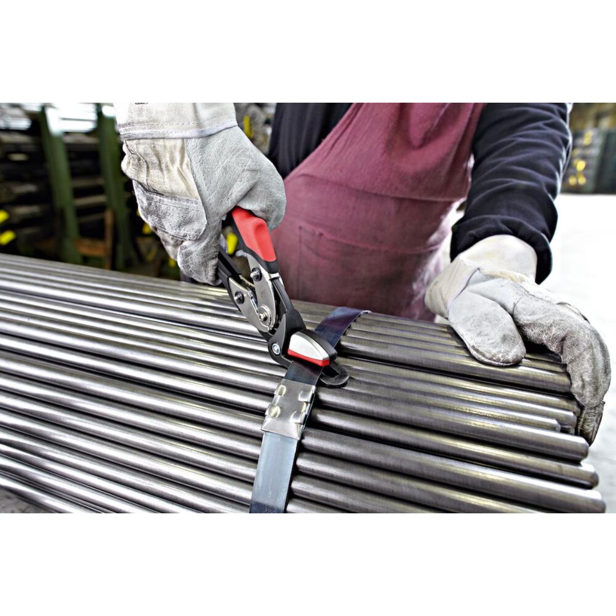 BESSEY Sicherheitsbandeisenschere D123S in SB-Verpackung