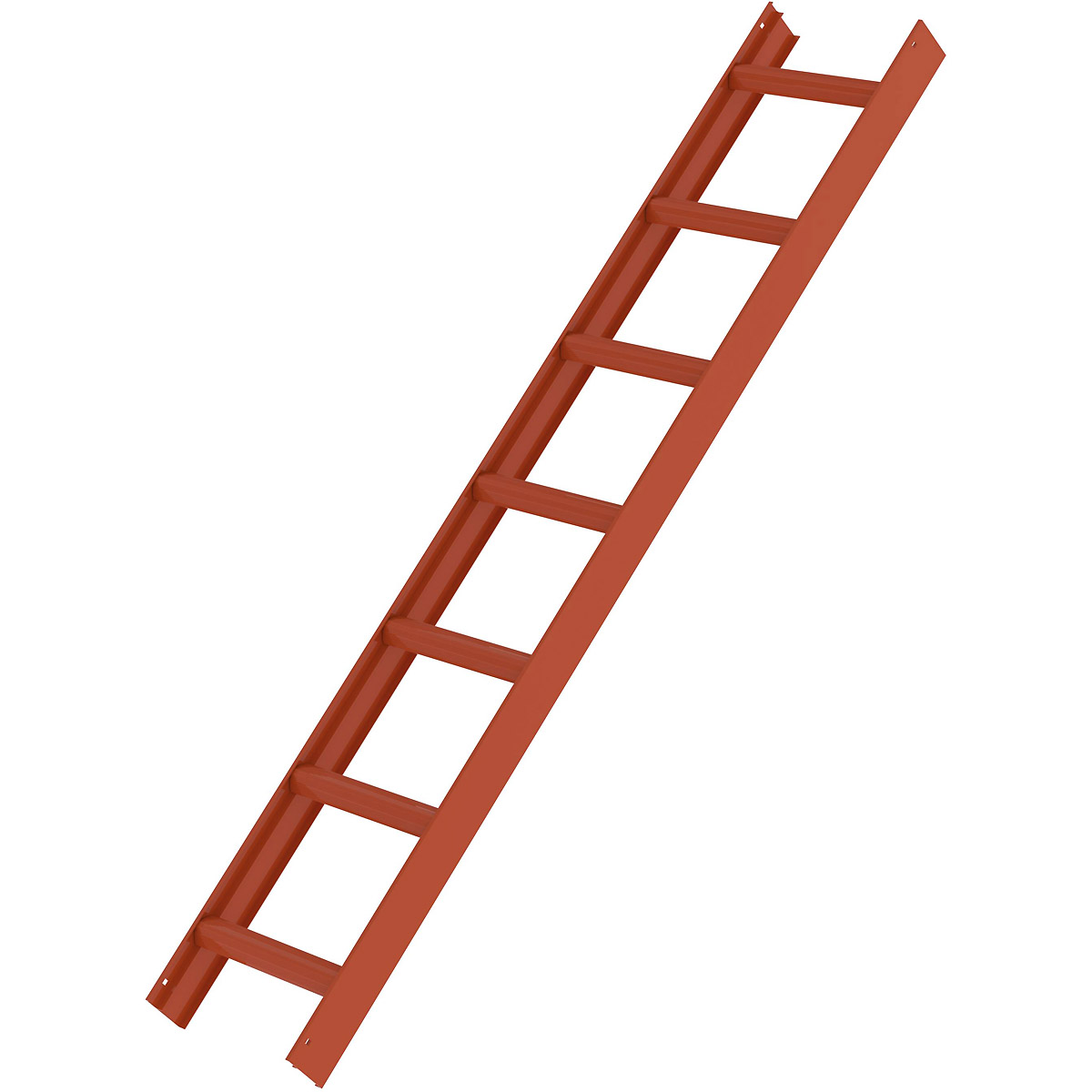 Munk Dachleiter Rot
