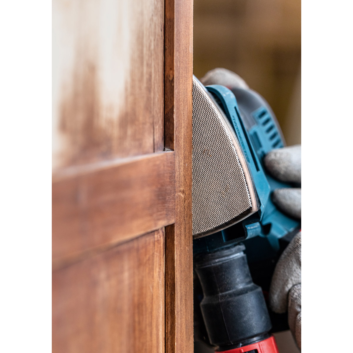 Bosch EXPERT M480 Schleifnetz-Set