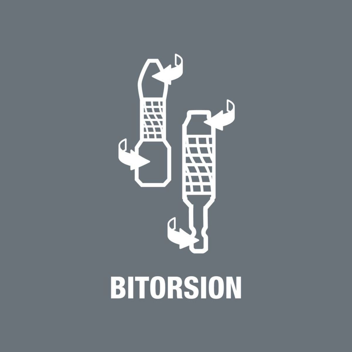 Wera 867/1 BTZ TORX Bits