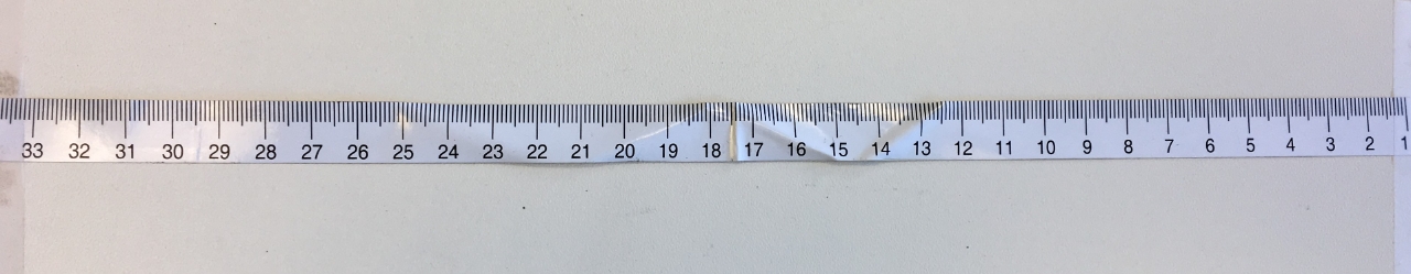 ELMAG Skala für FSM570/STM640