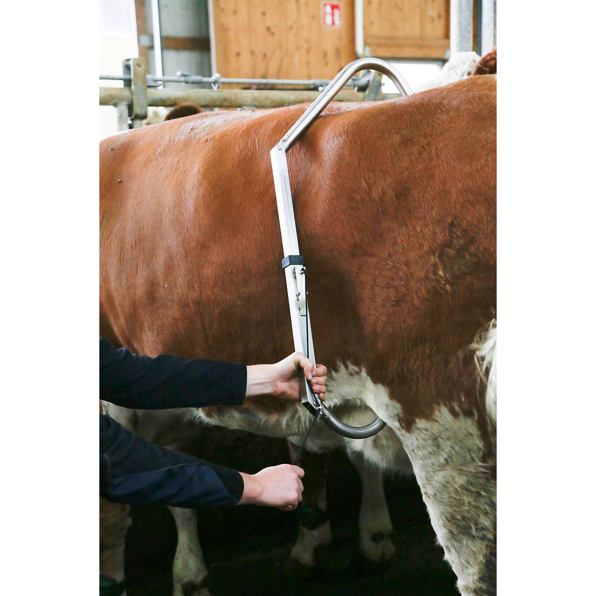 Kerbl Schlagfessel FlexCow