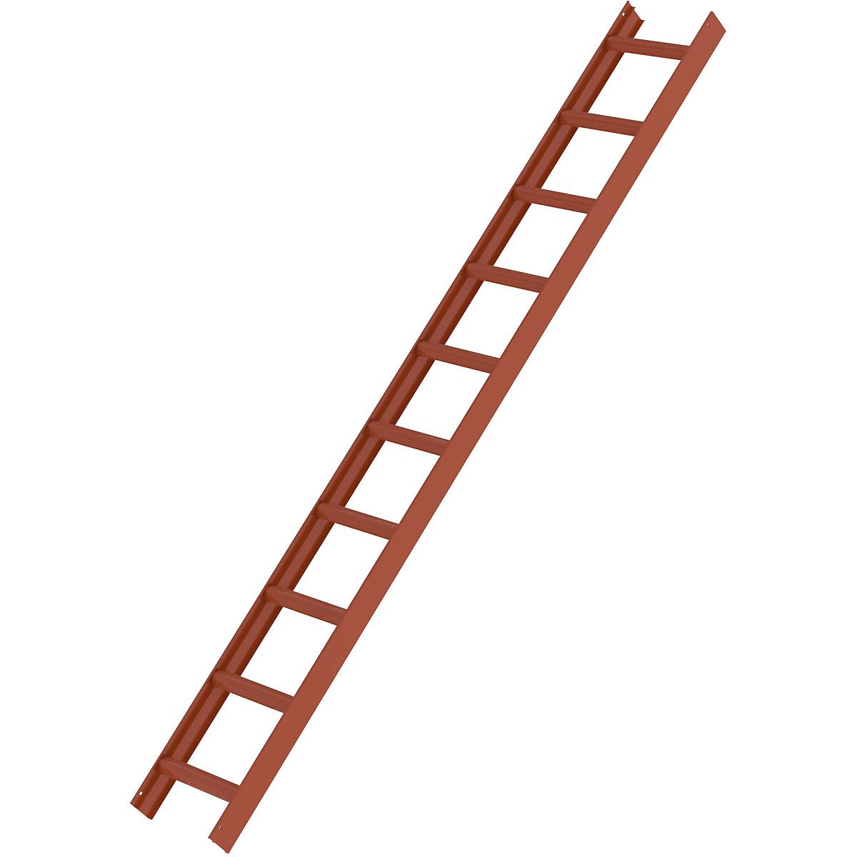 Munk Dachleiter Rotbraun