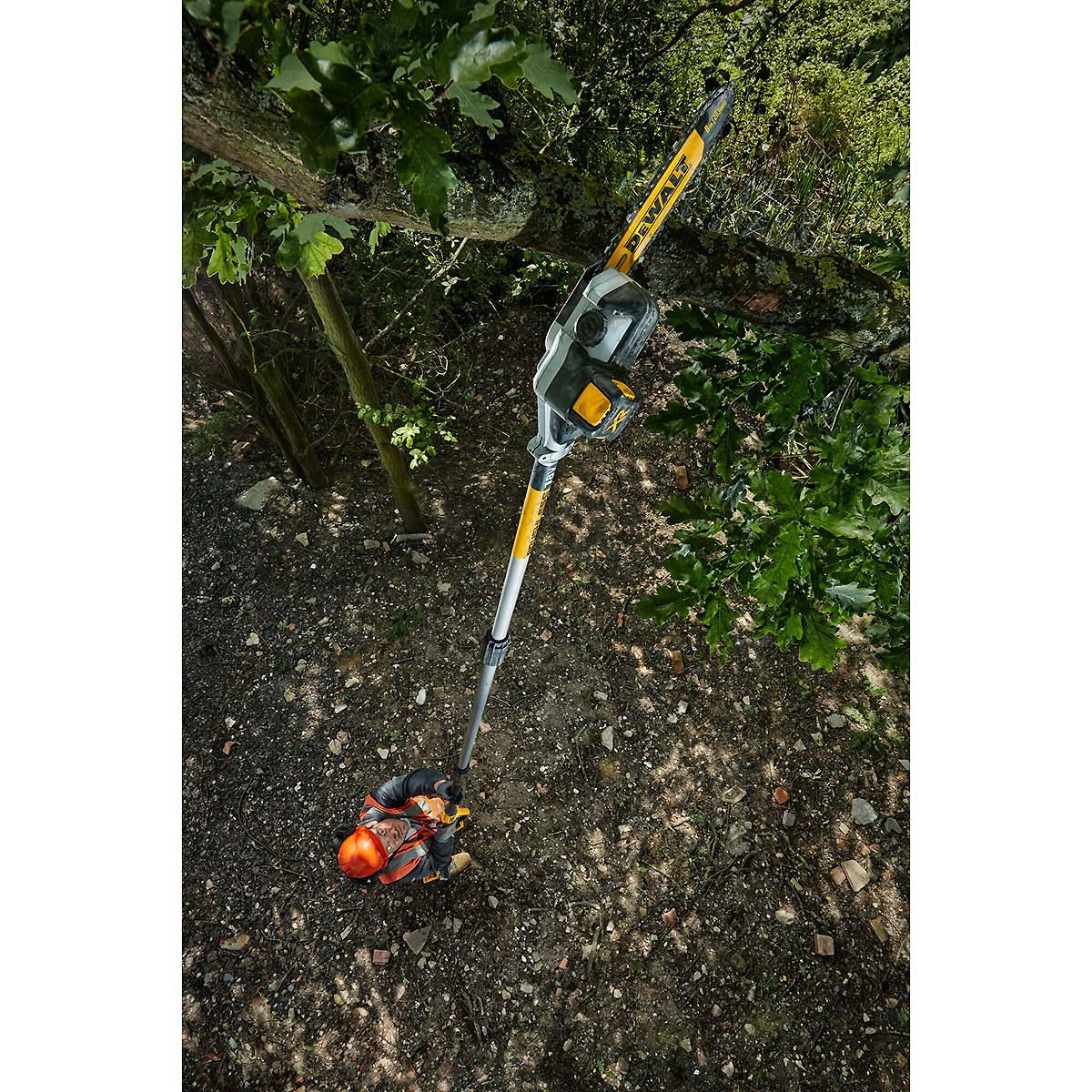 DEWALT Akku-Hochentaster 18V Basisversion