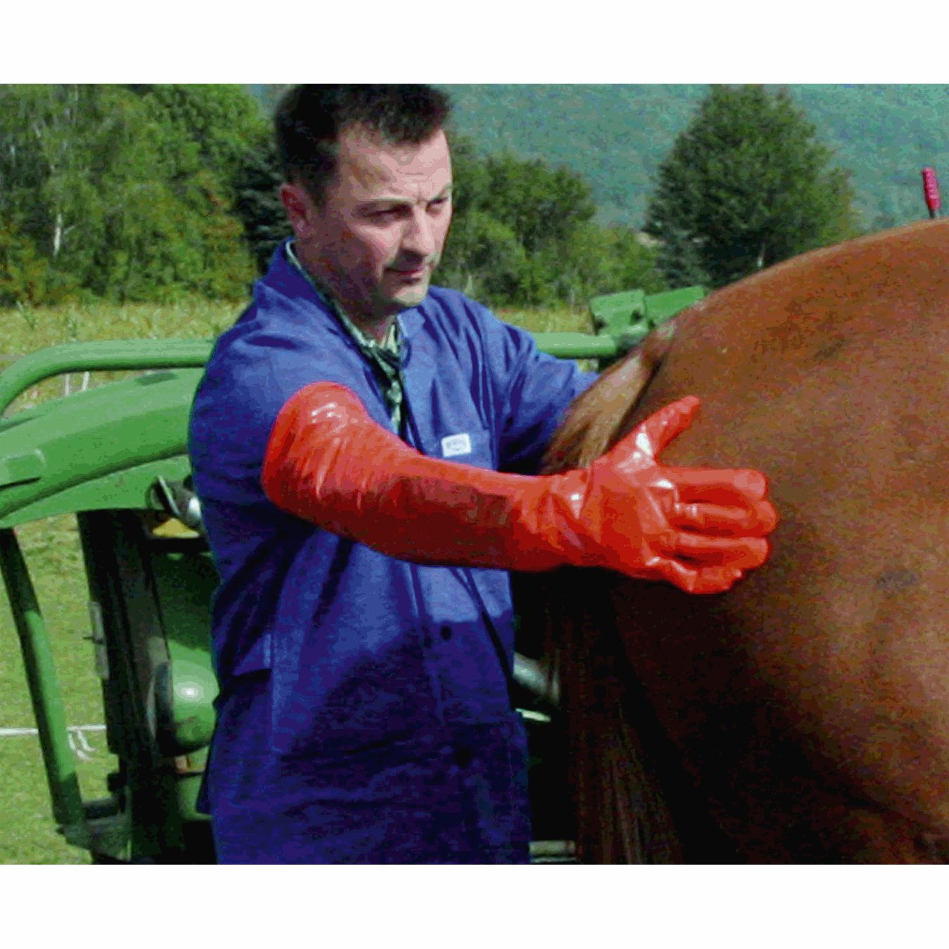 Veterinärhandschuhe