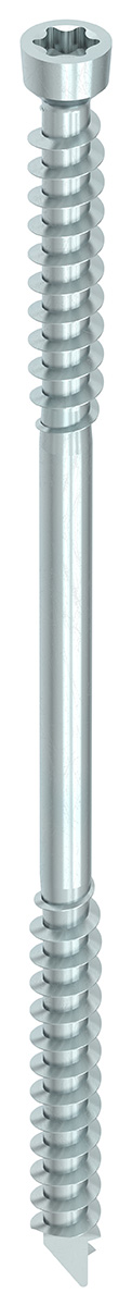 HECO WT-T 6,5 x 65mm Zylindersenkkopf T-Drive 100 St.
