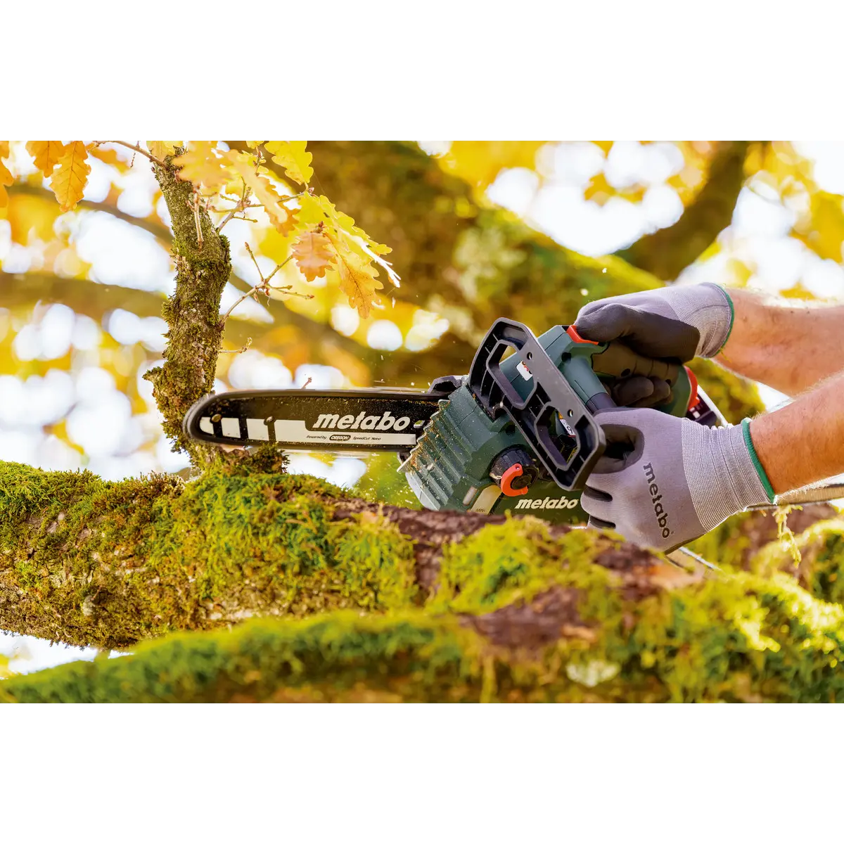 Metabo Akku-Kettensäge MS 18 LTX BL 25 (601595850) - Karton
