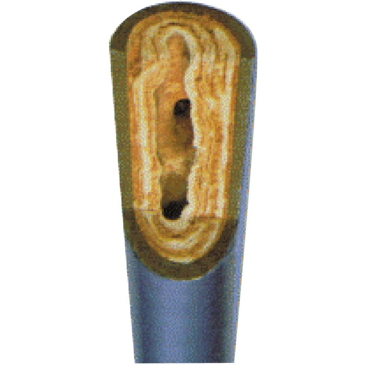 ROTHENBERGER ROCAL 20, Entkalkungspumpe, 10m, 40l/min