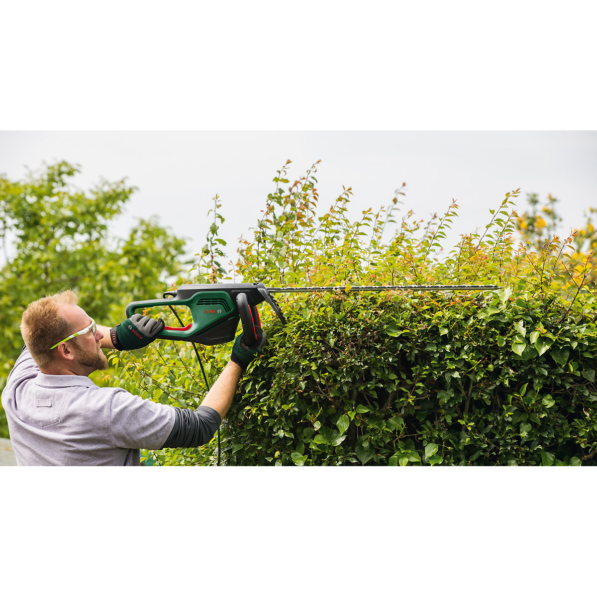 Bosch Heckenschere AdvancedHedgeCut 65