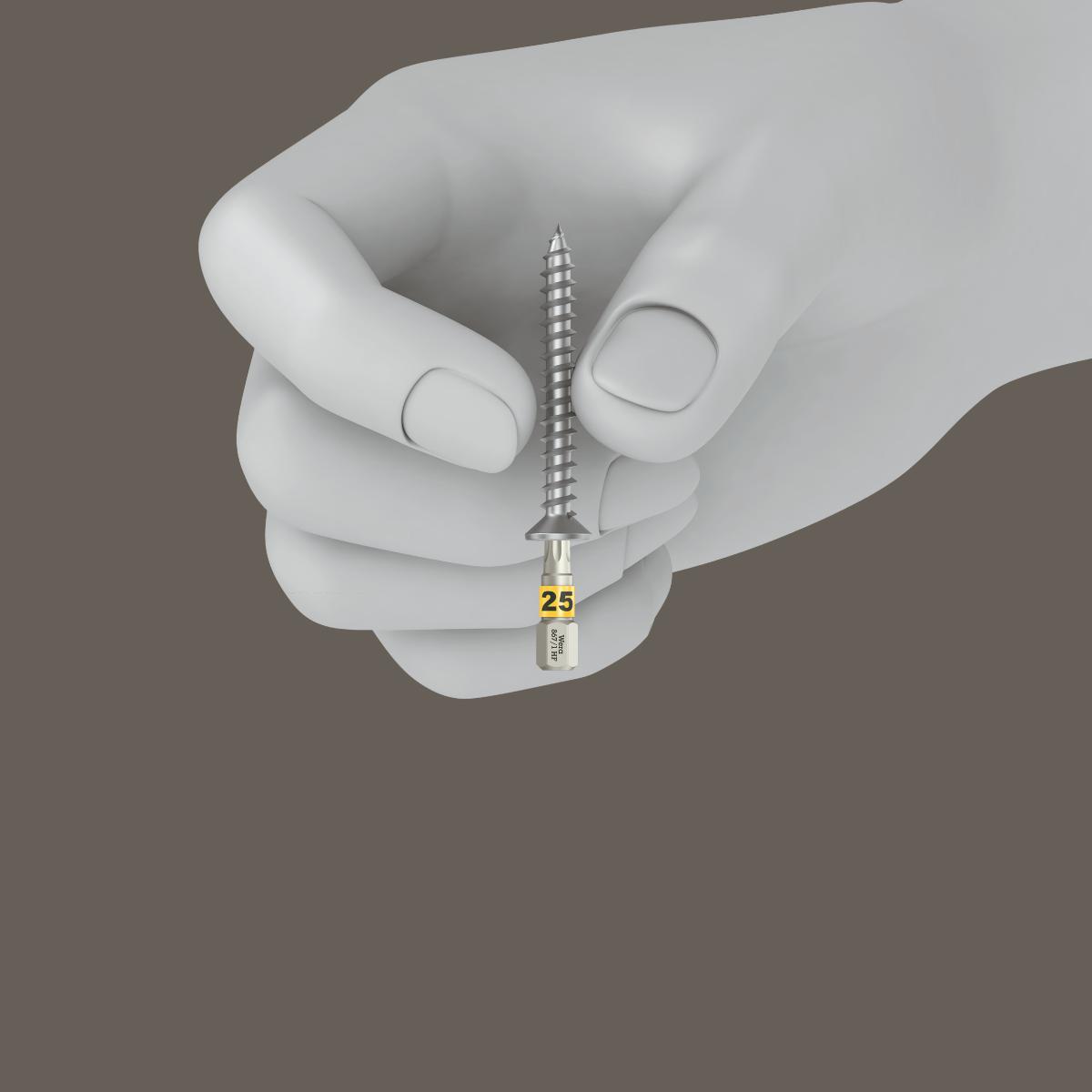 Wera Bit-Check Wood TORX HF 1 SB, 30-teilig