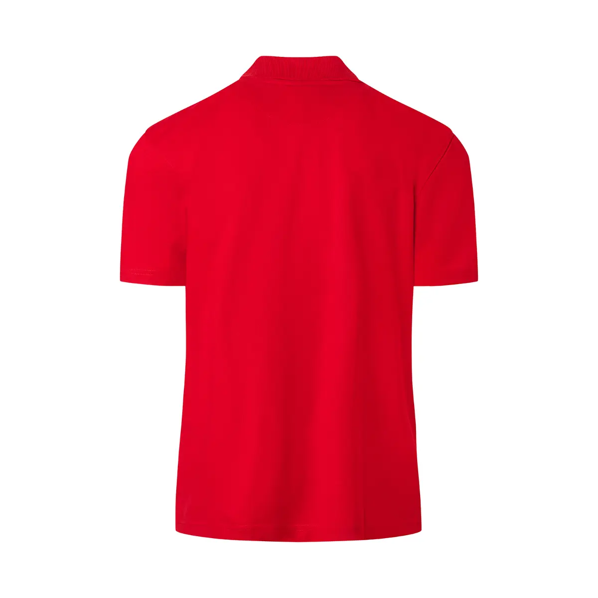 KÜBLER SHIRTS Polo