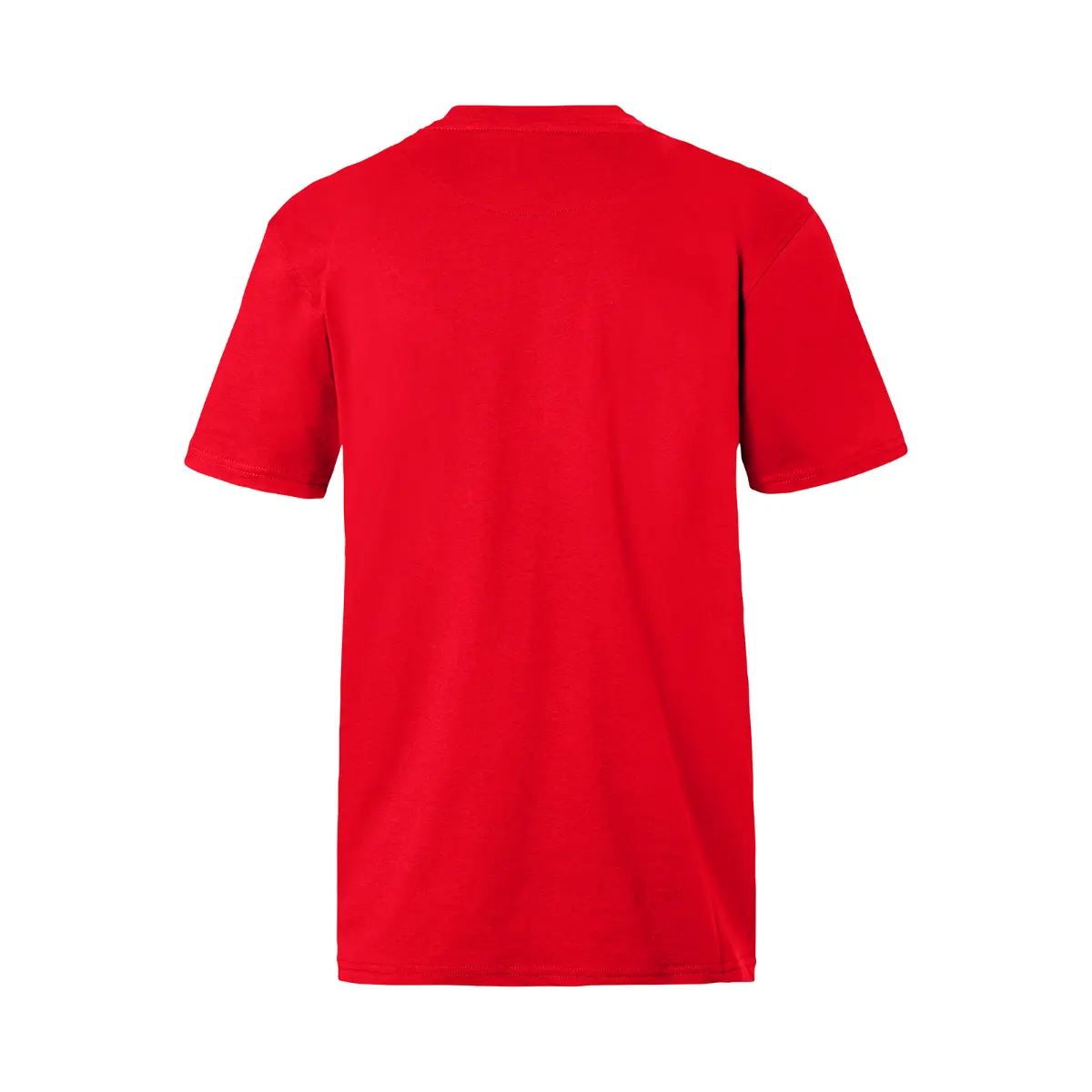 KÜBLER SHIRTS T-Shirt