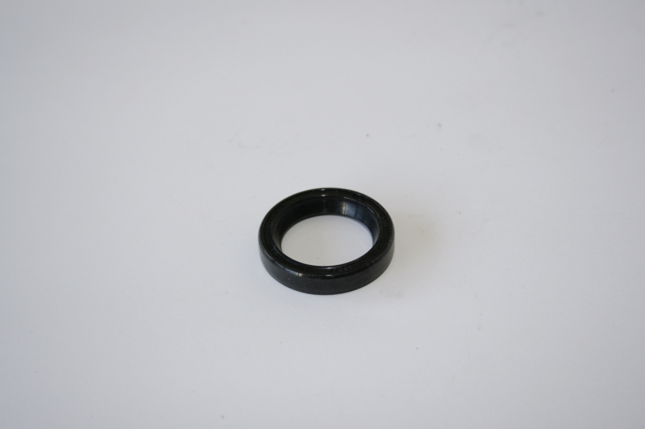 ELMAG Wellendichtring (25x35x7)