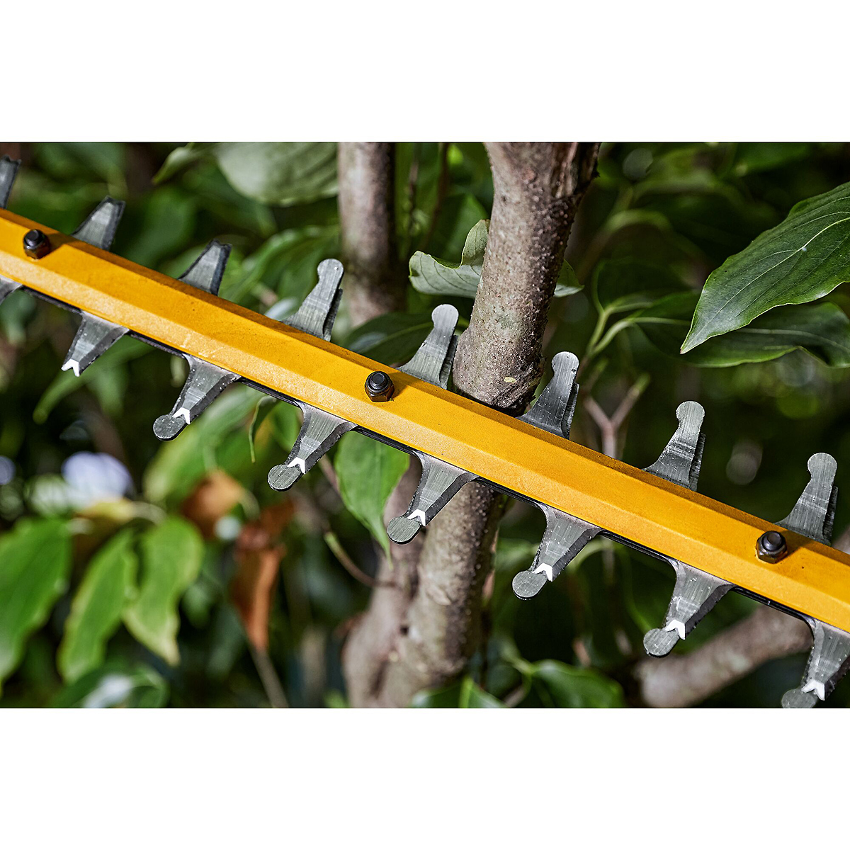DEWALT Akku-Heckenschere 54V 65cm + 1 x Akku + Schnellladegerät