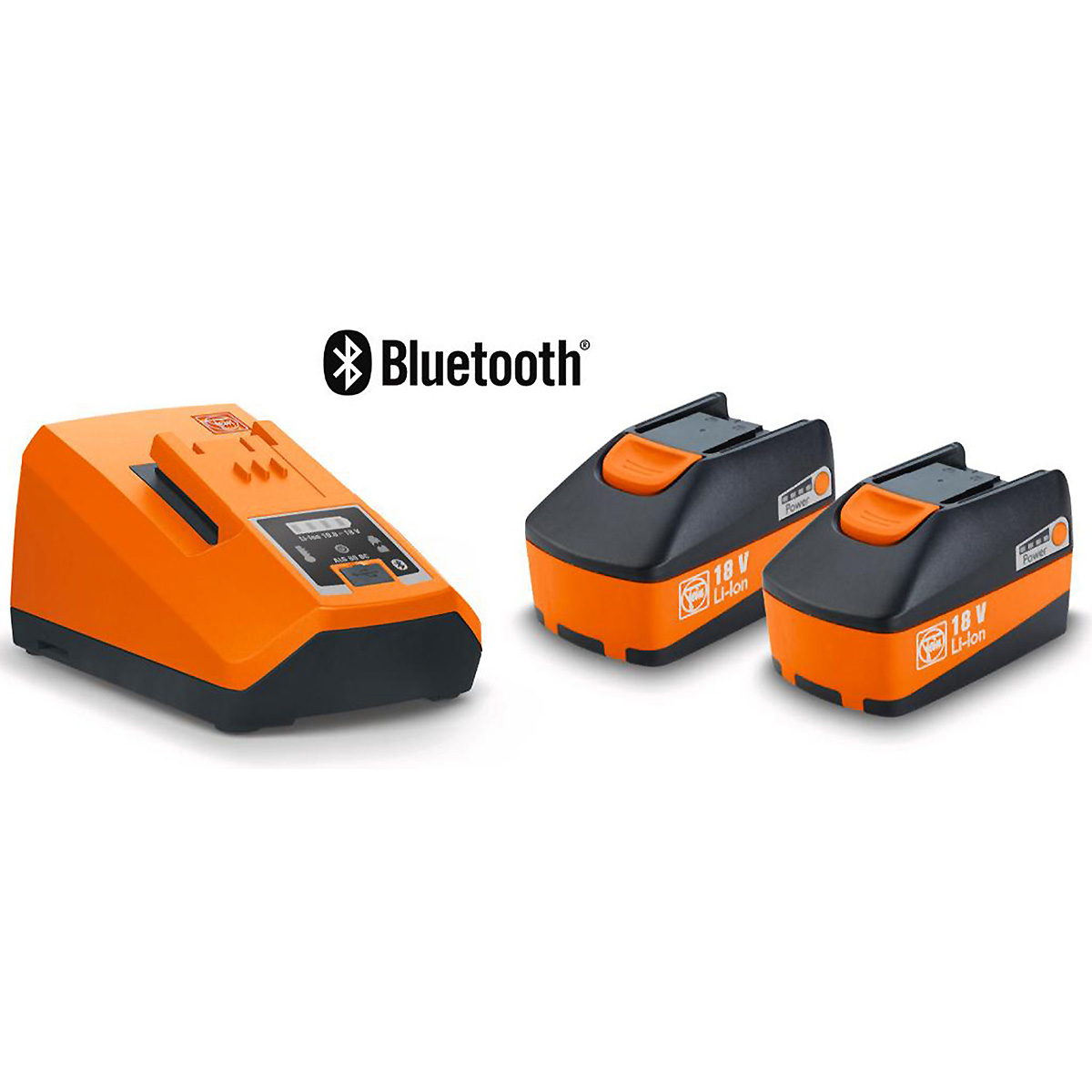 Fein Akku-Starter-Set 2 Li-Ionen-Akkus mit Schnellladegerät 12 V
